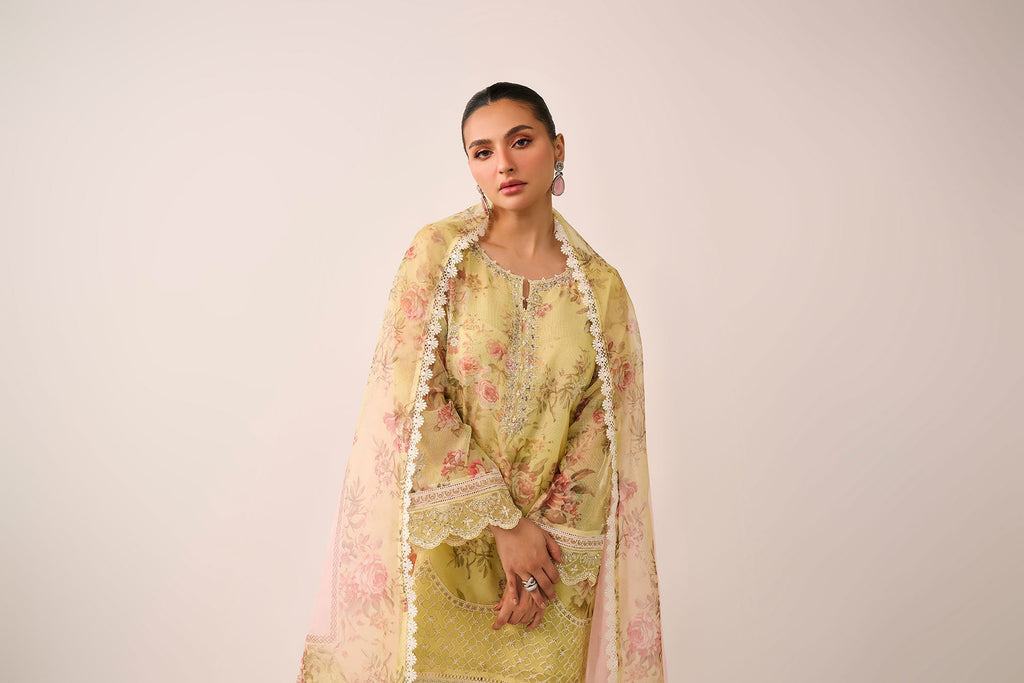 SS24DD-2466  MULTI DUPATTA