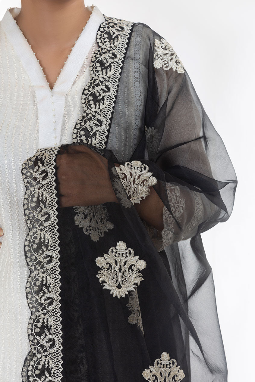 dd-0762 BLACK